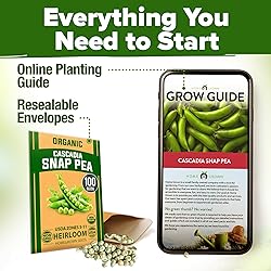 HOME GROWN - Snap Pea Seeds for Planting