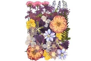 DALARAN 40 pcs Purple Flowers for Resin Model Real Dried Pressed Flowers Dry Leaves Bulk Natural Herbs Kit for Scrapbooking DIY Art Crafts, Epoxy Jewelry, Candle, Soap Making, Nails Decor