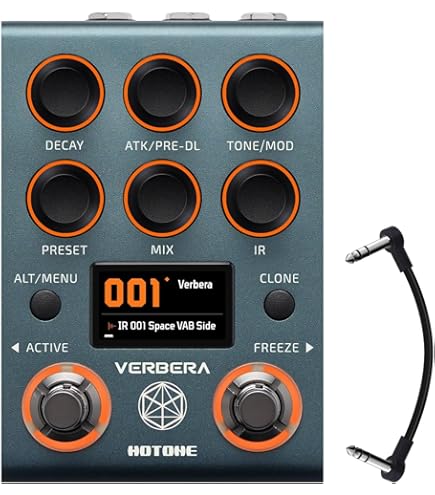 Amazon.com: GFI Systems Skylar Stereo Reverb Pedal Guitar Effects