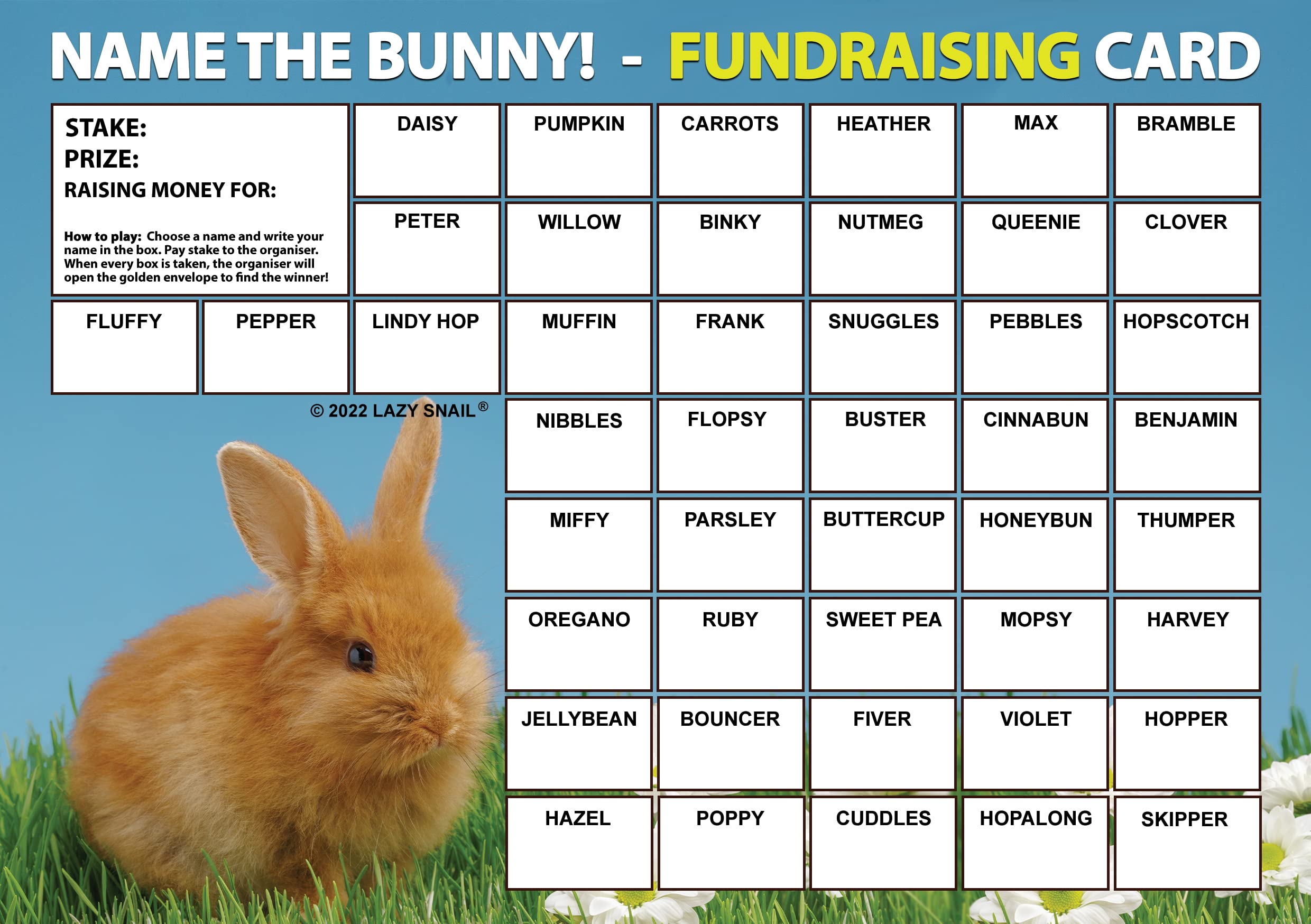 Lazy Snail 'Name the Bunny' Fundraising Cards - Pack of 8-45 Squares and Fun Golden Winner Envelopes to Raise Money for Charity - Full Colour Fund Raising Cards (8 Cards x A4)