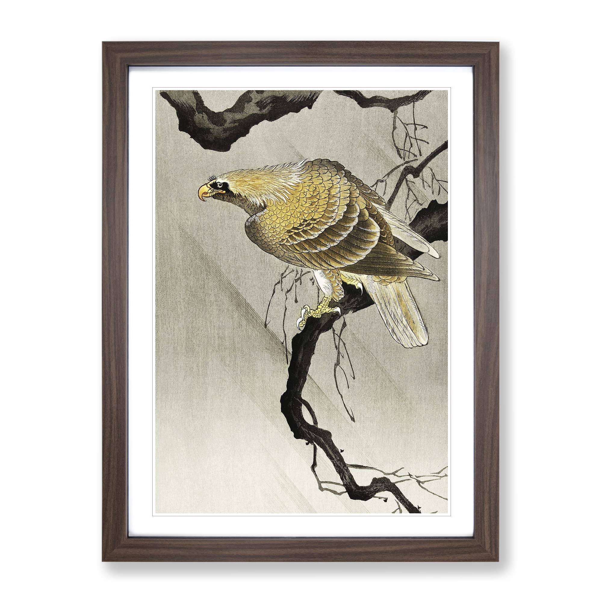 Eagle In The Tree By Ohara Koson Asian Japanese Framed Wall Art Print, Ready to Hang Picture for Living Room Bedroom Home Office Décor, Walnut A4 (34 x 25 cm)
