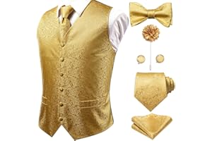 Hi-Tie Silk Mens Suit Vest Tie and Bowtie Lapel Pin Gold Tie Clip Paisley Floral Waistcoat 8PCS Set Tuxedo Wedding Party