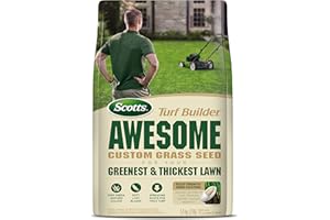 Scotts Turf Builder Awesome Lawn Seed Blend 1.4kg