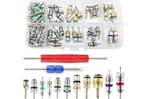 102Pcs Air Conditioner Valve Accessories Kit, R12 R134a Automotive Air Conditioning Refrigeration Tire Valve Stem with Double