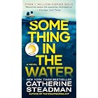 Something in the Water: Reese's Book Club: A Novel