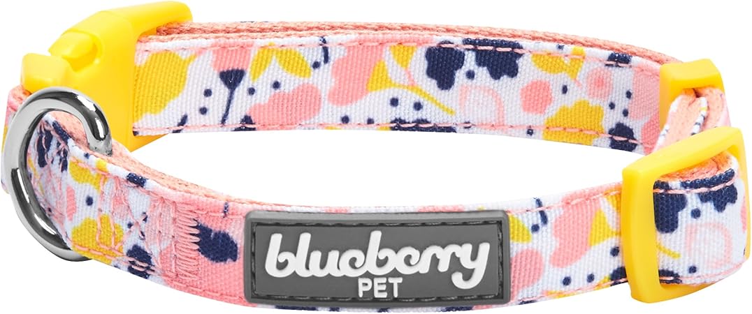 amazon blueberry collar