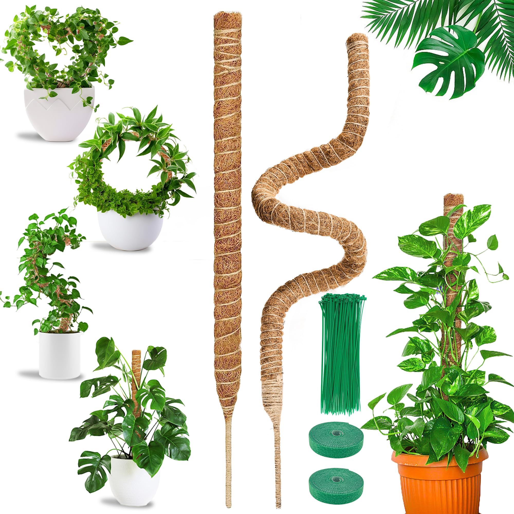 COZCLAM 2Pcs 29.53'' Moss Pole for Monstera, Bendable Cheese Plant Support pole, Coco Coir Pole for Indoor Climbing Plants, Monstera Support, Plant Sticks Support for Creeper Plants Grow Upwards