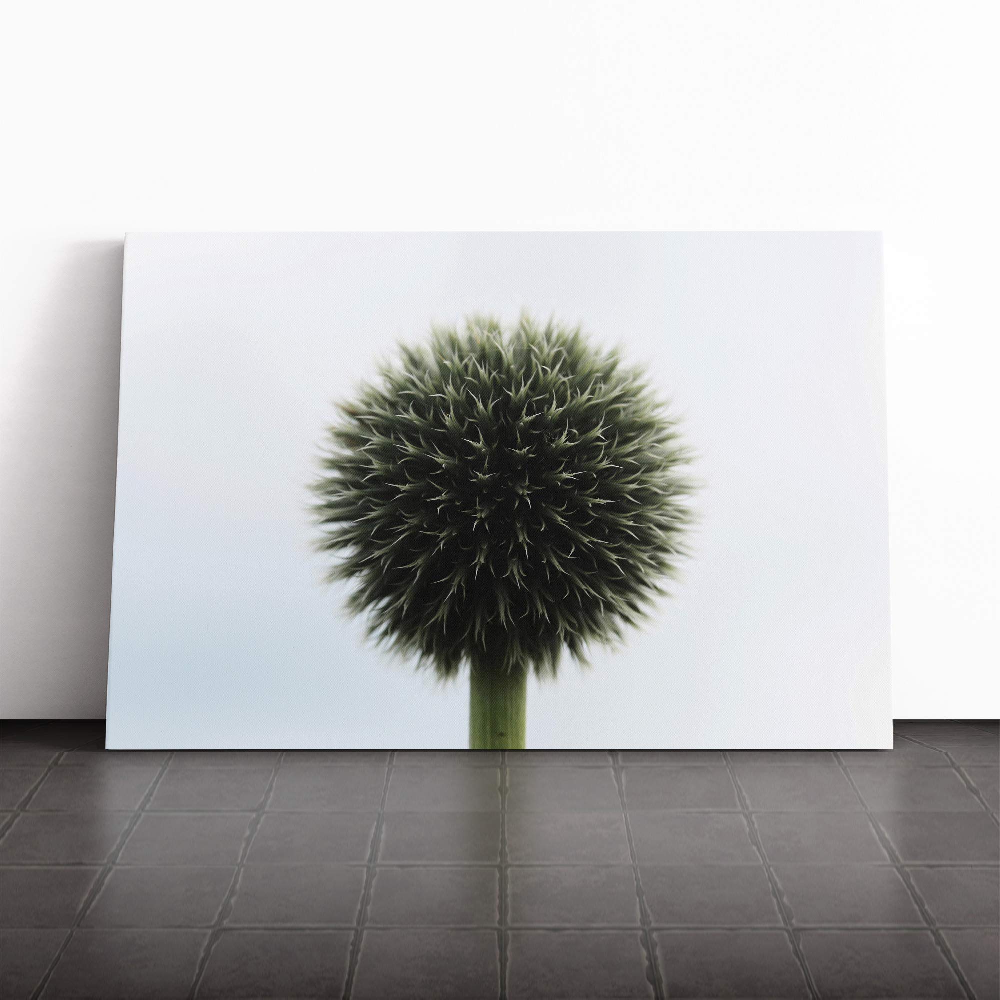 Flower Globe Thistle (3) Canvas Print | Gallery Wrapped 30mm Frame Wall Art | 20x14 inches | Ready to Hang | Modern Floral Picture | Living Room Bedroom Lounge Office