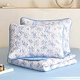 Wake In Cloud - Shabby Chic Quilt Set, Floral Coquette Cottagecore Vintage Flower for Women Teen Girls, Reversible Lightweight Bedspread Coverlet, 3 Pieces, Light Blue, Queen/Full Size