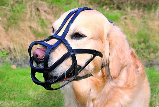 trixie dog muzzle