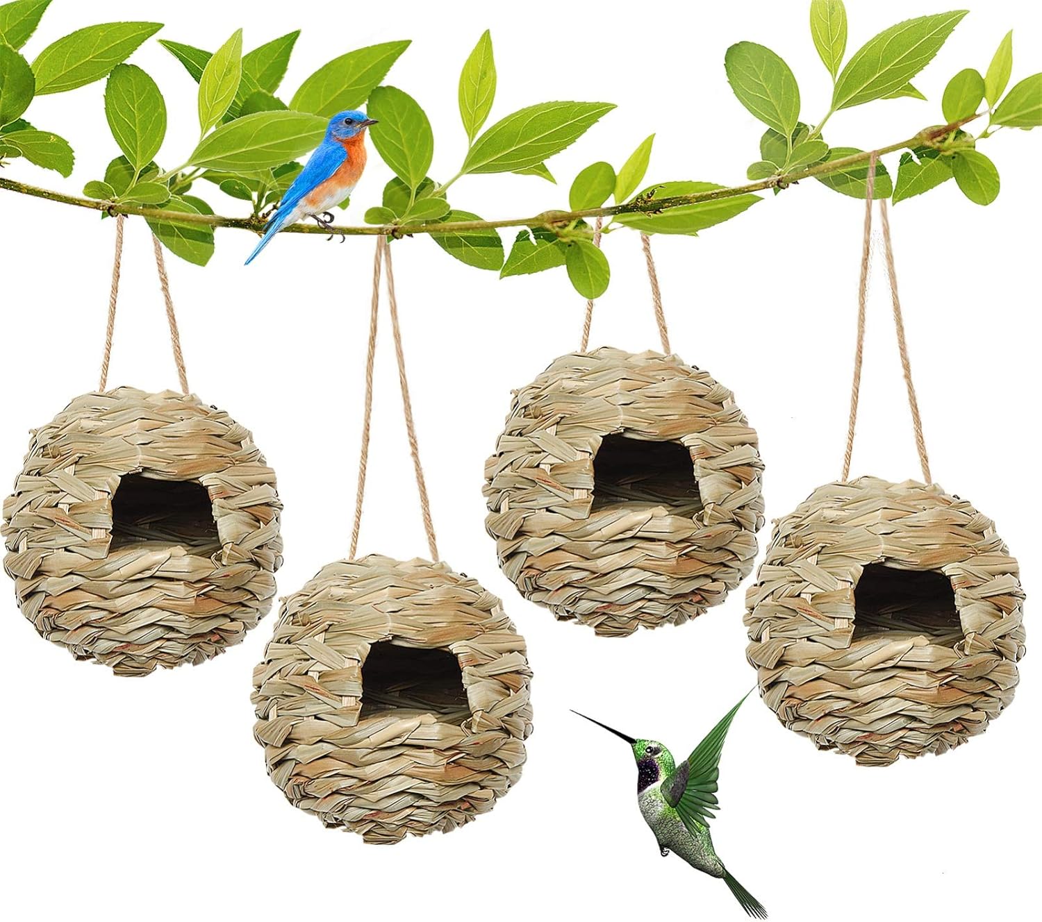 Amazon.com: AQUEENLY Hummingbird Houses for Outside Hanging, Set of 4 ...