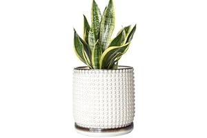 D'vine Dev 6 Inch Ceramic Beaded Stoneware Planter Pot - Flower Pot with Drainage Holes and Saucers for Indoor Succulent Plants or Flowers, Smoked White, 27-C-X-1