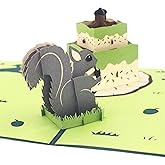 Ribbli Squirrel and Birthday Cake Pop Up Card Birthday Cards Handmade Pop Up Birthday Card for Men Women Kids, with Envelope