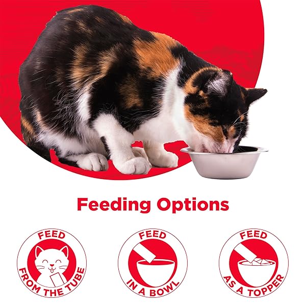 COUNTRY KITCHEN SALMON PUREE LICKABLE CAT TREATS, MADE WITH REAL SALMON, 2 OZ, 4 COUNT