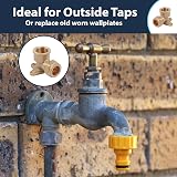 Pipestation 15mm Compression Elbow Wall Plate 1/2in Female Brass Fitting view 2