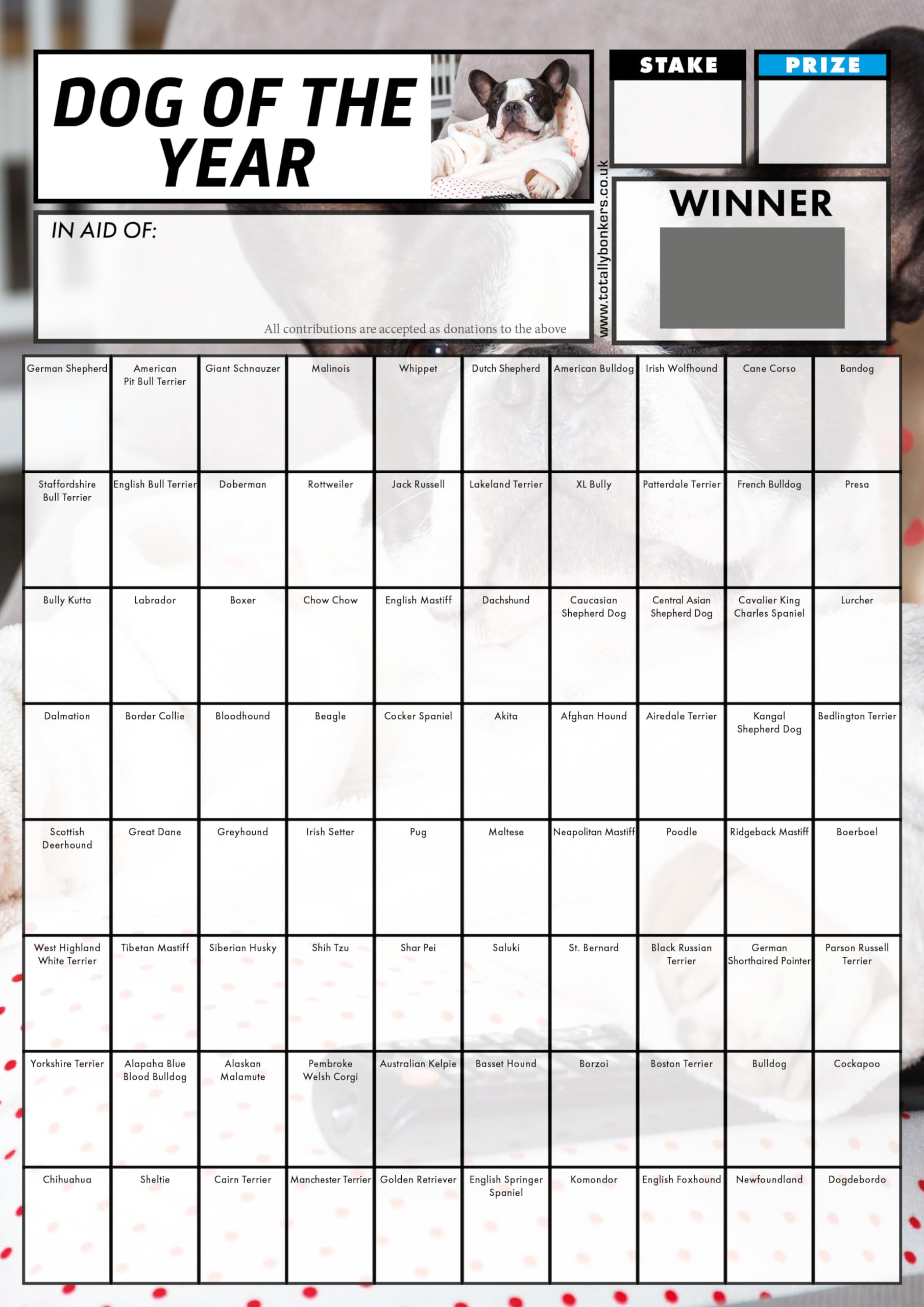 Totally Bonkers - Dog Fundraising Scratch Cards - 80 Square - A4 (297x210mm) - 5 Pack - TB0075 - Blind Card…