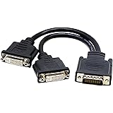 zdyCGTime DMS-59 to DVI Splitter Cable Connector for Dual Monitor Setups or as a DVI Adapter Y Cord Dongle-10inch