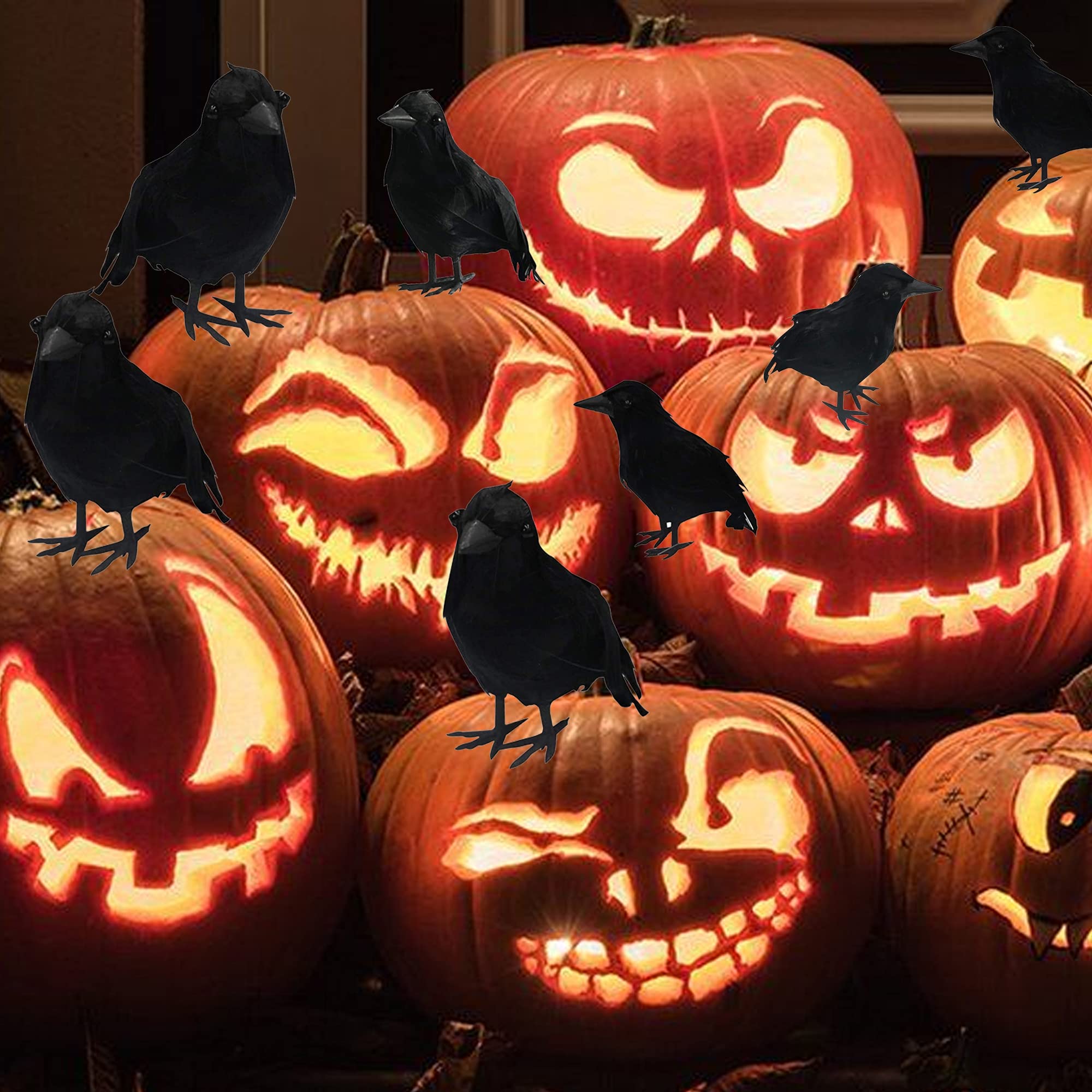 Dazzle Bright Halloween Black Feathered Crows Decor, Holiday Decoration for Indoor Outdoor Home Yard Garden Party Carnival Supplie (12 Pack)