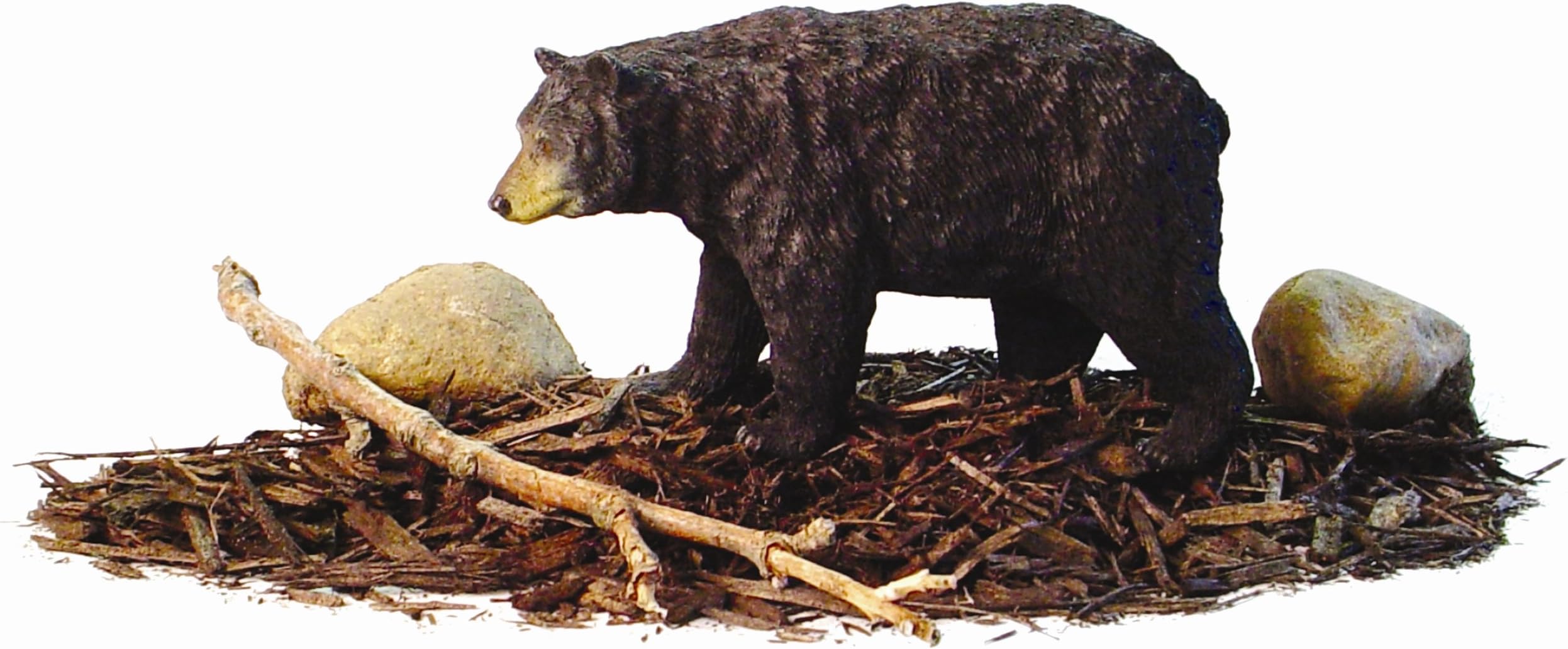 Hunter Dan Black Bandit Black Bear