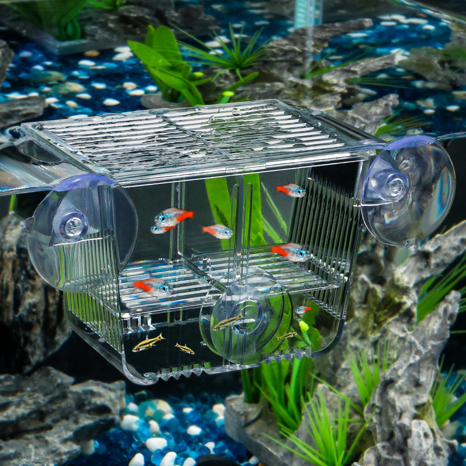 Pawfly Fish Breeding Box For Fish Tank Hatchery Incubator Baby Fish Tank with 6 Suction Cups Acrylic Hatching Box for Baby Fish Shrimp Betta Small Acclimation Isolation Box
