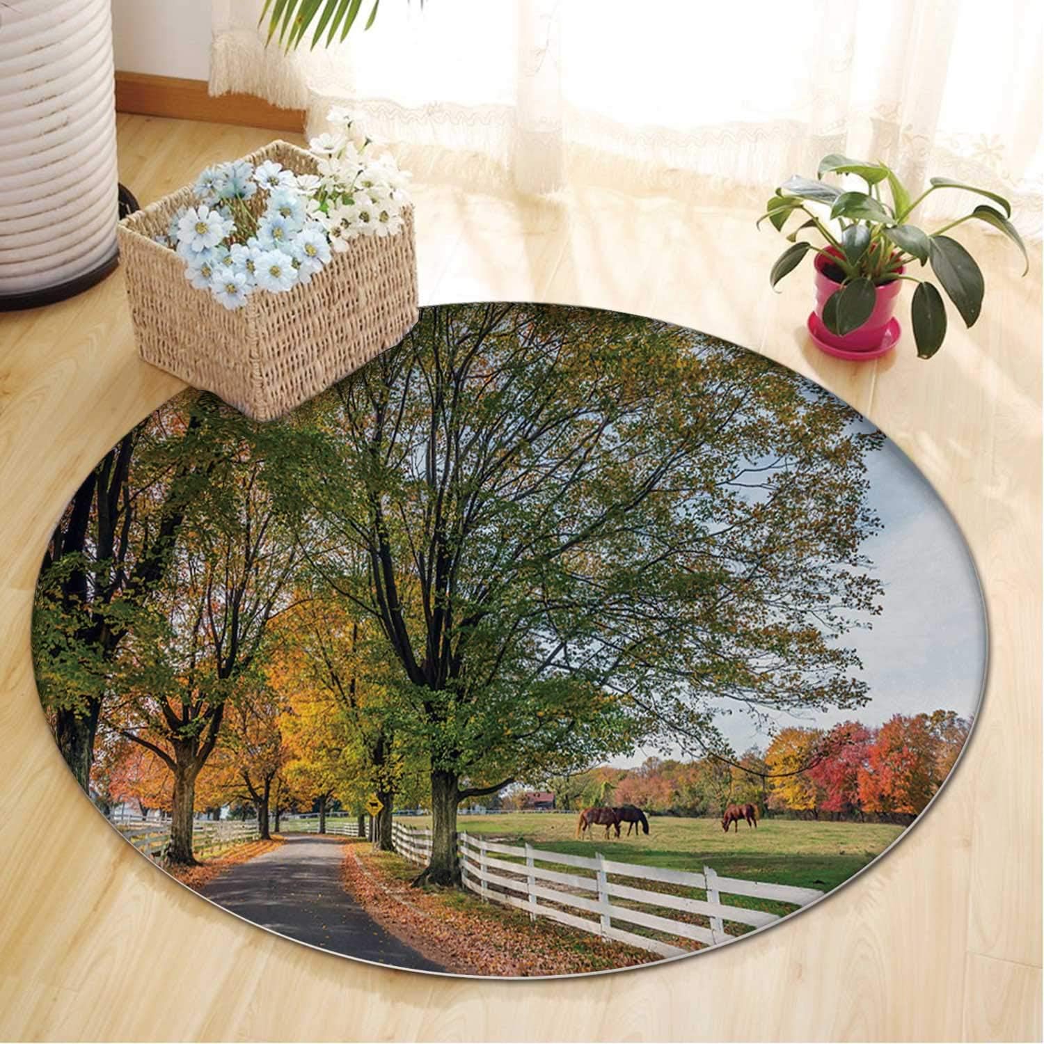 Country Road in Rural Rugland During Autumn Carpet,092980 Rugs for Living Room,5 ft