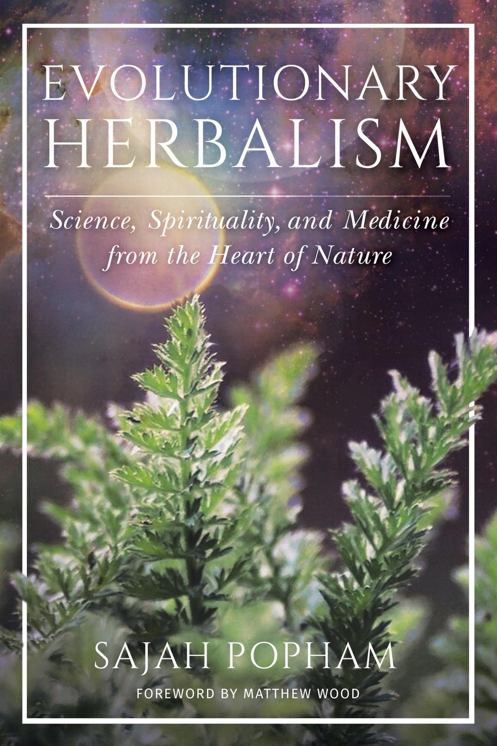 Herboristería evolutiva: ciencia, espiritualidad y medicina desde el corazón de la naturaleza