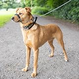 Total Pet Figure of 8 Dog Lead Small/Medium Grey Anti Pull Padding Nose view 8