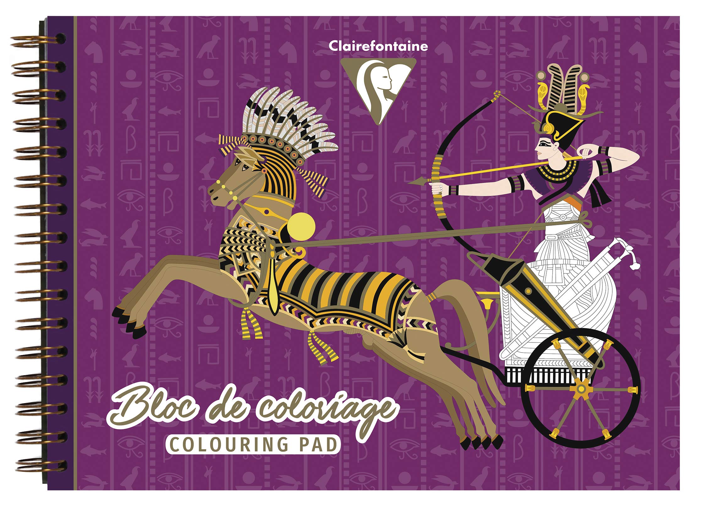 Clairefontaine 96188C Spiral Pad of 20 Sheets White Drawing Paper 250g/m² Format 32x24 cm Creative and Colouring Adults Children Theme Egypt 10 Motifs x2