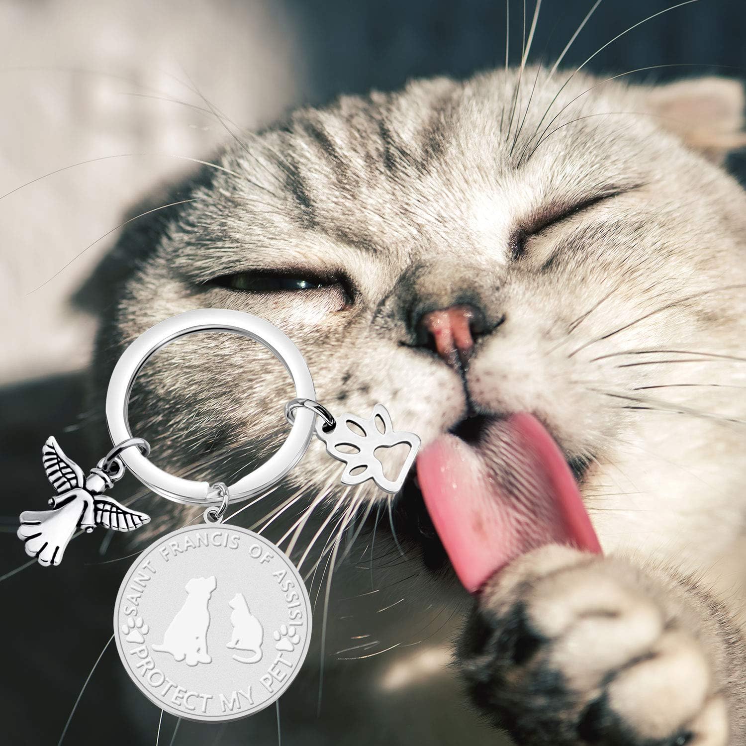 CYTING Saint Francis of Assisi Patron Saint Of Animals Protect My Pet Stainless Steel Dog Cat Pet ID Tag Collar Charm (Protect My Pet ID Tag): Clothing