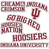 Desert Cactus Indiana University Sticker Hoosiers Bloomington Vinyl Decals Laptop Water Bottle Car Scrapbook Sheet T2 (Type 2)