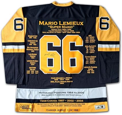 pittsburgh penguins mario lemieux jersey