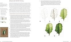The Joy of Botanical Drawing: A Step-by-Step Guide