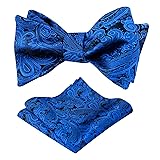 Alizeal Mens Paisley Jacquard Self-Tie Bow Tie
