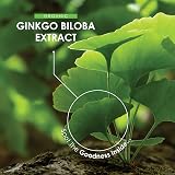 Alpha01 Organic Ginkgo Biloba Extract 12,500mg – 120 Vegan Capsules view 4