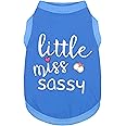 Paiaite Dog Clothes Fashionable Sleeveless Pet Vest: 'Little Miss Sassy' Printed Cotton Dog Shirt, Ideal for Small, Medium, and Large Breeds, Ensuring Comfort and Breathability Blue L