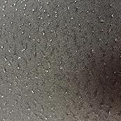 betabrand pants amazon