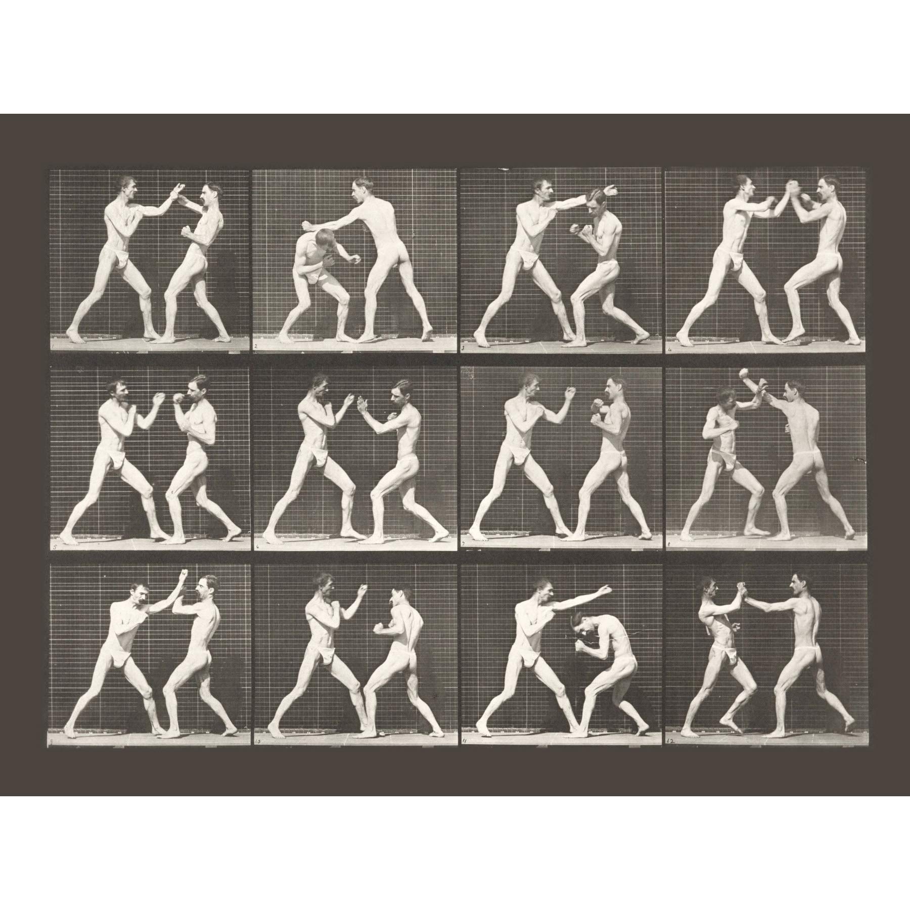 Artery8 Muybridge USC 2 Men Boxing Consecutive Phases 1886 Photo Large XL Wall Art Canvas Print