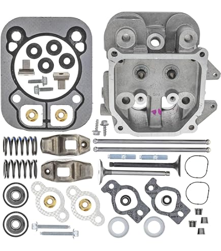 Amazon.com: 24 818 02-S Cylinder Head Assembly Kit