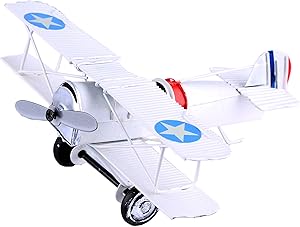 Berry President(TM Vintage Retro Wrought Metal Iron Biplane Plane Aircraft Handicraft Models - Photo Props Home Decor/Ornament/Souvenir (White)