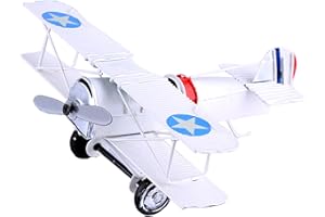 Berry President(TM) Vintage Retro Wrought Metal Iron Biplane Plane Aircraft Handicraft Models - Photo Props home Decor/ornament/souvenir (White)