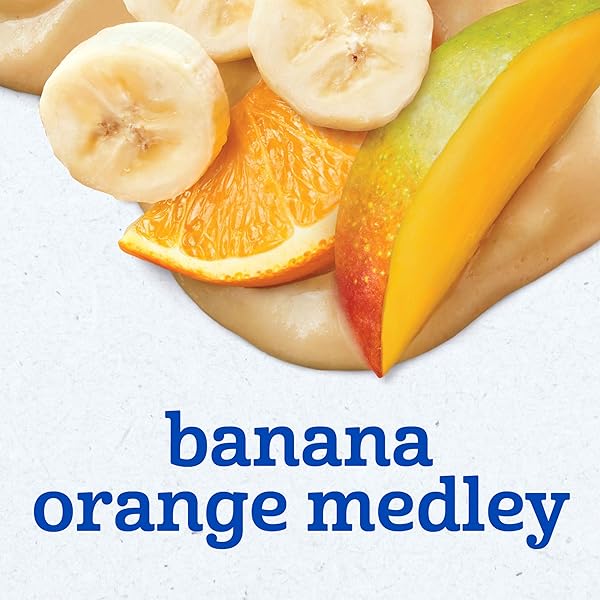 GERBER STAGE 2 BABY FOOD, BANANA ORANGE MEDLEY PUREE TUB, NO ARTIFICIAL COLORS OR FLAVORS, BABY PUREE, 2-PACK