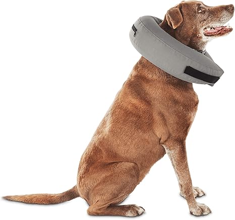 Well & good inflatable collar Clearance