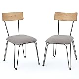 Christopher Knight Home Orval Metal Chairs With