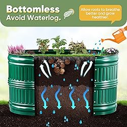 KING BIRD Raised Garden Bed Kit 2025 Upgraded