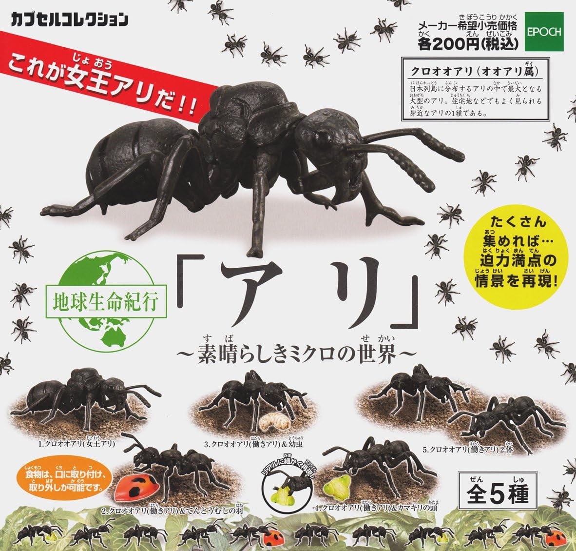 地球生命紀行 アリ 素晴らしきミクロの世界 全5種セット ガチャガチャ カプセル玩具 おもちゃ Amazon