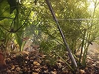 Review Image by tilly tilly