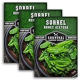 3 Packs Sorrel Seed for Planting - Packet with