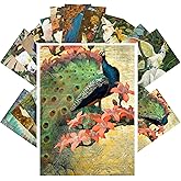 PIXILUV Vintage Postcards (24 pcs 4"x6" ea) Pretty Bird Paintings of Parrots and Cockatoos Vintage Postcards Retro Greeting Card Book Illustration Reprint