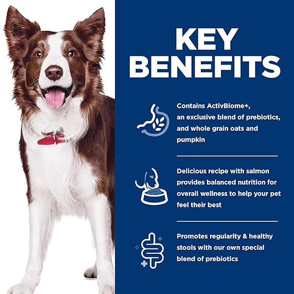 HILL’S SCIENCE DIET PERFECT DIGESTION, ADULT 1-6, DIGESTIVE SUPPORT, DRY DOG FOOD, SALMON, BROWN RICE, & WHOLE OATS, 3.5 LB BAG