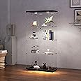 Zipzop Modern 64.5'' Glass Display Cabinet in Clear with Lock and Lights, Lighted Curio Cabinet Collection Display Case, Floor Standing Showcase for Living Room Home Office